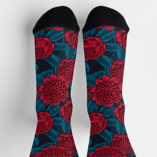 Chaussette Fleurs de waratah rouges (Haut)