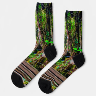 Chaussette Forêt moussue
