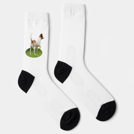 Chaussette Fox Terrier En alerte, (Droite)