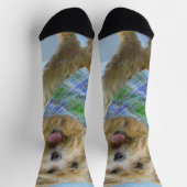 Chaussette Glen of Imaal Terrier Peinture - Art original Chie (Haut)