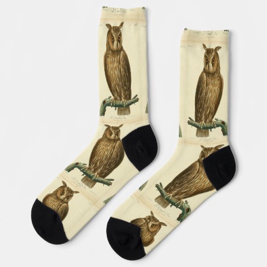 Chaussette Grand-duc d'AmériqueThunder_Cove (Gauche)