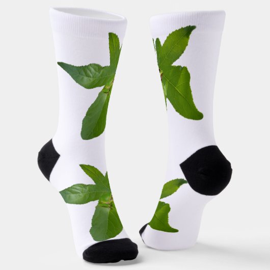 Chaussette Grenouille Arbre Vert Sur La Feuille, Chaussettes (Angulaire)