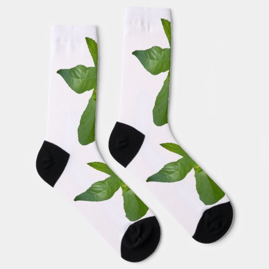 Chaussette Grenouille Arbre Vert Sur La Feuille, Chaussettes (Droite)
