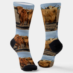 Chaussette Grosses vaches Brown, Chaussettes d'équipage