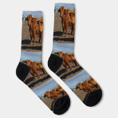 Chaussette Grosses vaches Brown, Chaussettes d'équipage (Droite)