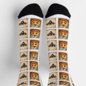 Chaussette Halloween (Haut)