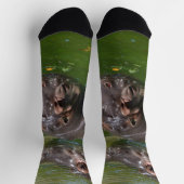 Chaussette Hippopotames Dans Un Étang, Chaussettes D'Équipage (Haut)