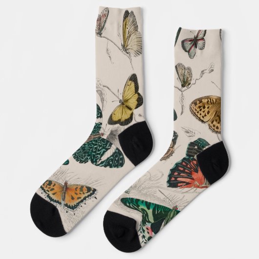 Chaussette Illustration de papillon antique : 1820 Orfèvre (Gauche)