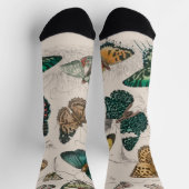 Chaussette Illustration de papillon antique : 1820 Orfèvre (Haut)