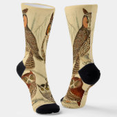 Chaussette illustration de quatre hiboux (Angulaire)