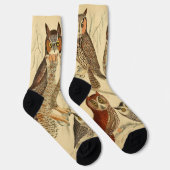 Chaussette illustration de quatre hiboux (Droite)