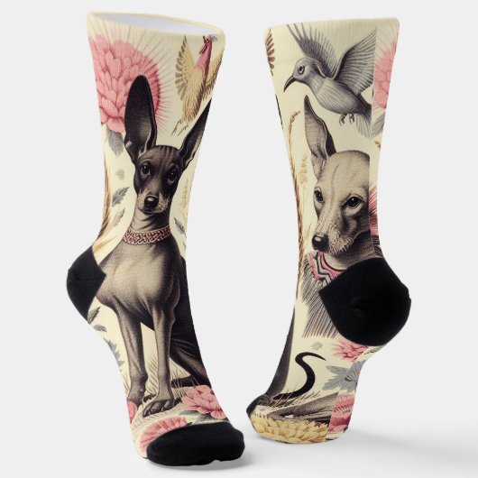 Chaussette Illustration sans couture Retro Xoloitzcuintle (Angulaire)