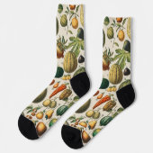 Chaussette Illustration scientifique végétale des fruits (Gauche)