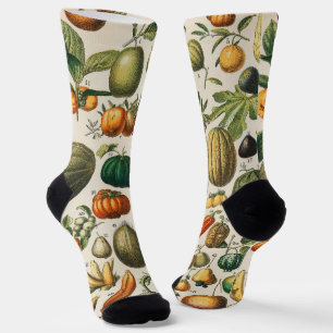 Chaussette Illustration scientifique végétale des fruits