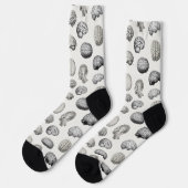 Chaussette Illustrations d'anatomie cérébrale vintage (Gauche)