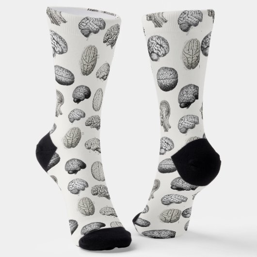 Chaussette Illustrations d'anatomie cérébrale vintage (Angulaire)