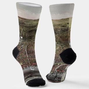 Chaussette Impression de Currier et Ives de Brooklyn, 1886