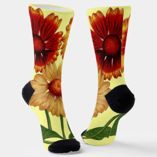 Chaussette imprimé fleurs de gaillardia
