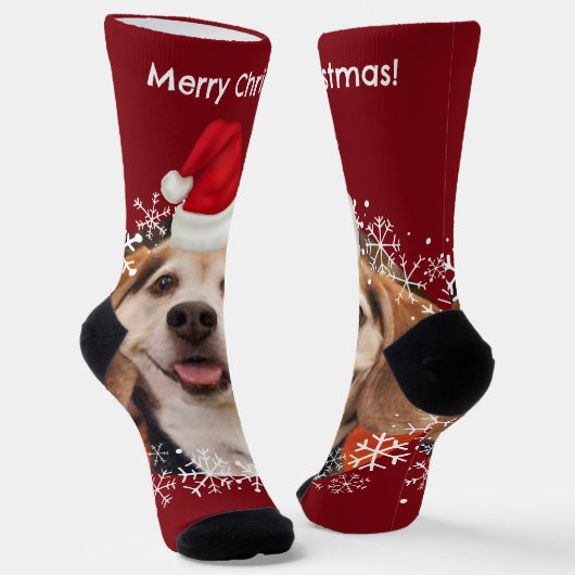 Chaussette Joli animal de compagnie photo Red Santa Hat Joyeu (Angulaire)
