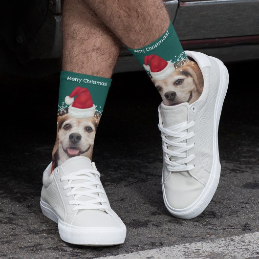 Chaussette Joli animal de compagnie photo Santa Hat Green Noë