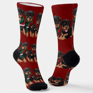 Chaussette Joyeux Chrismutts Rottweiler Chiots portant des éc