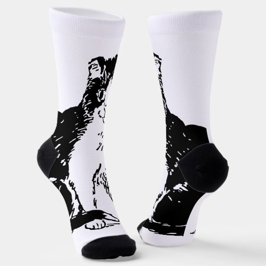 Chaussette Kitty Chat Art (Angulaire)