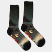 Chaussette Koitsu - Neige au Nezu Shrine (Droite)