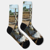 Chaussette **"La Majesté tachetée : le coq de ferme moucheté" (Droite)