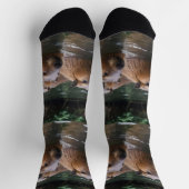 Chaussette La Nage Des Capybaras Dans La Rivière, (Haut)