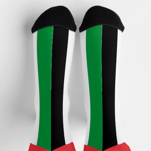 Chaussette La Palestine drapeau patriotique moderne (Haut)