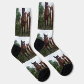 Chaussette La Puissance Du Cheval Fait Pour Quatre, Chaussett (Droite)