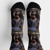 Chaussette Le jeune Diable de Tasmanie, (Haut)