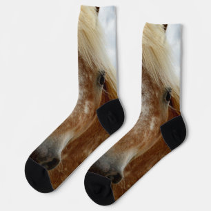 Chaussette "Le sucre : la grâce de l'Appaloosa"