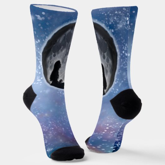 Chaussette L'Enchanteuse de Luna (Angulaire)