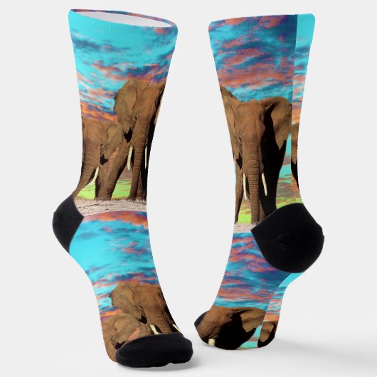 Chaussette Levée de soleil de l'éléphant Opal, Chaussettes d' (Angulaire)