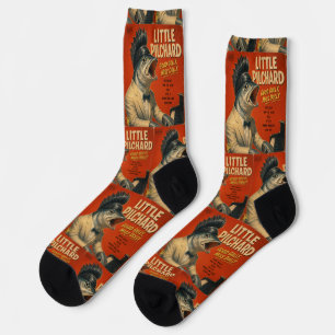 Chaussette Little Pilchard Album : une parodie