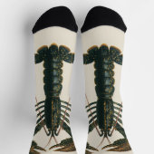 Chaussette Lobster Claws Vintage Marine Ocean Life Crustacean (Haut)