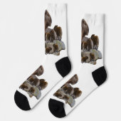 Chaussette Maman Capybara Avec Des Bébés, (Gauche)