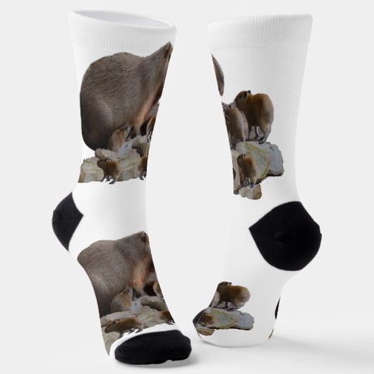 Chaussette Maman Capybara Avec Des Bébés, (Angulaire)