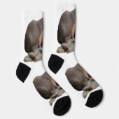 Chaussette Maman Capybara Avec Des Bébés, (Droite)