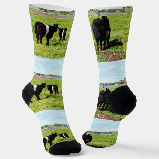 Chaussette Maman Et Bébés Galloway Cow, Chaussettes D'Équipag (Angulaire)