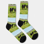 Chaussette Maman Et Bébés Galloway Cow, Chaussettes D'Équipag (Droite)