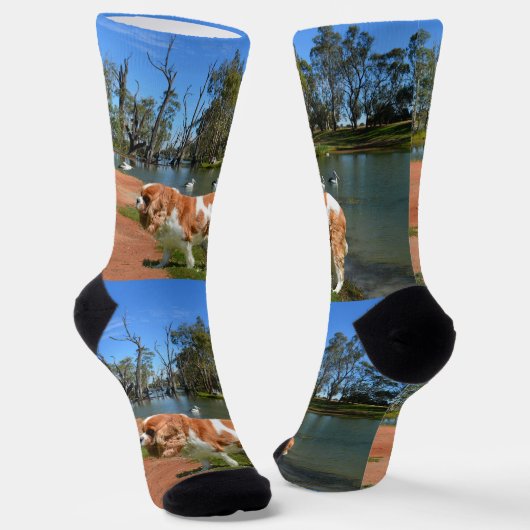 Chaussette Marche de la rivière Spaniel Cavalier, Chaussettes (Angulaire)