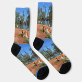Chaussette Marche de la rivière Spaniel Cavalier, Chaussettes (Droite)
