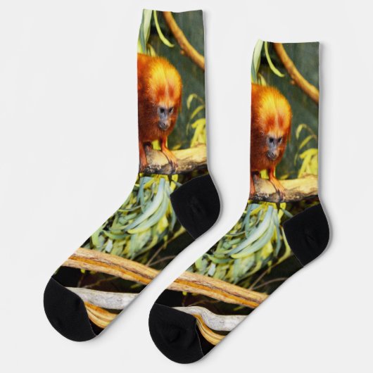 Chaussette Marmoset orange, Chaussettes d'équipage (Gauche)