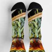 Chaussette Marmoset orange, Chaussettes d'équipage (Haut)