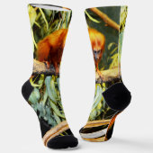 Chaussette Marmoset orange, Chaussettes d'équipage (Angulaire)