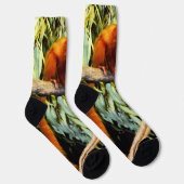 Chaussette Marmoset orange, Chaussettes d'équipage (Droite)