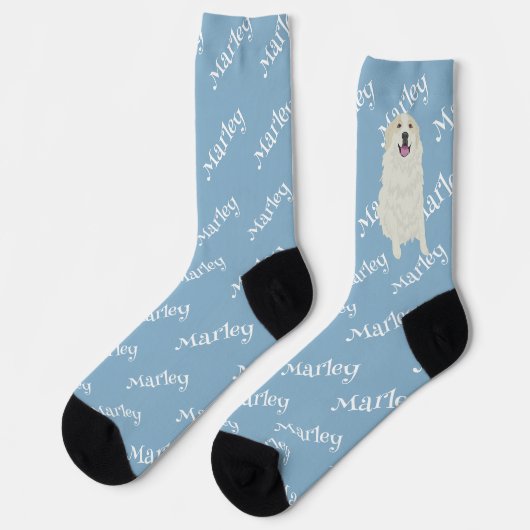 Chaussette Marques de blaireau des Pyrénées (Gauche)