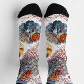 Chaussette Méduses vintage par Ernst Haeckel, Discomedusae (Haut)